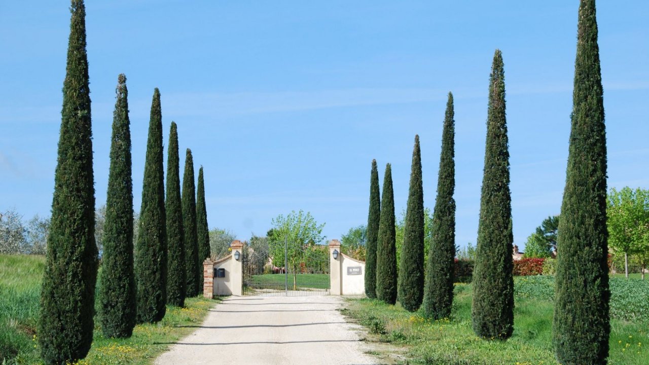 Vendita villa in  Cortona Toscana foto 17