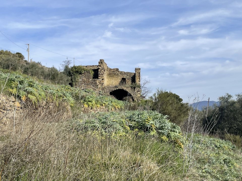 Vendita terreno in zona tranquilla Perinaldo Liguria foto 29