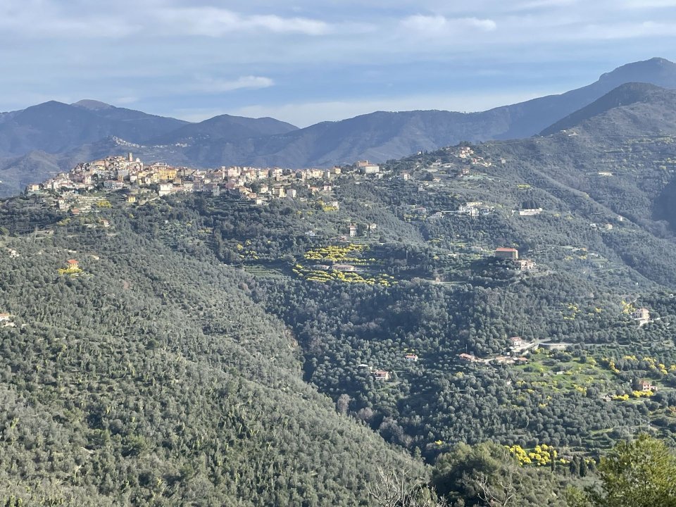 Vendita terreno in zona tranquilla Perinaldo Liguria foto 37