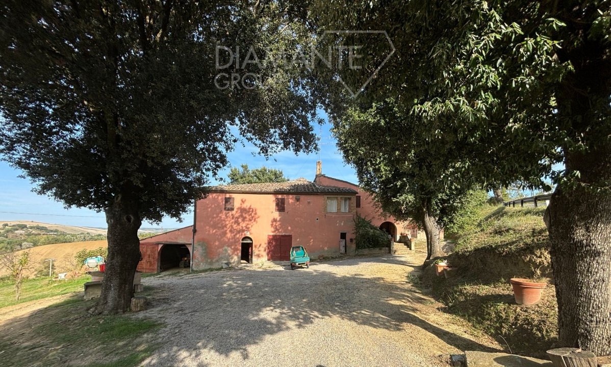 Vendita casale in zona tranquilla Montalcino Toscana foto 1