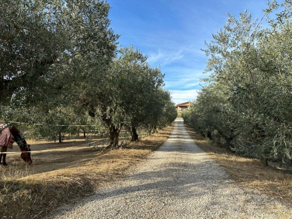 Vendita villa in zona tranquilla Pineto Abruzzo foto 37