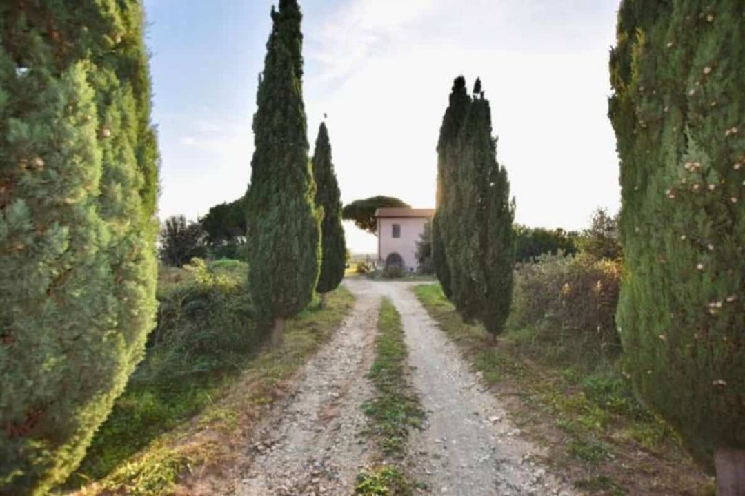 Vendita villa sul mare Piombino Toscana foto 17