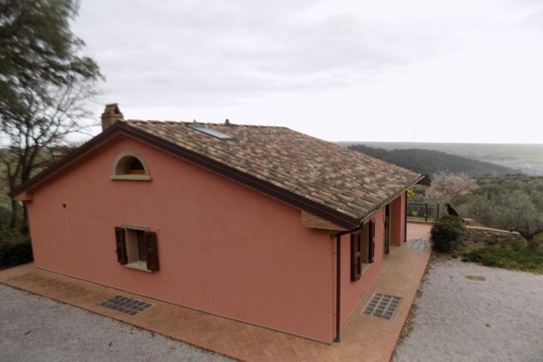Vendita villa in zona tranquilla Riparbella Toscana foto 37
