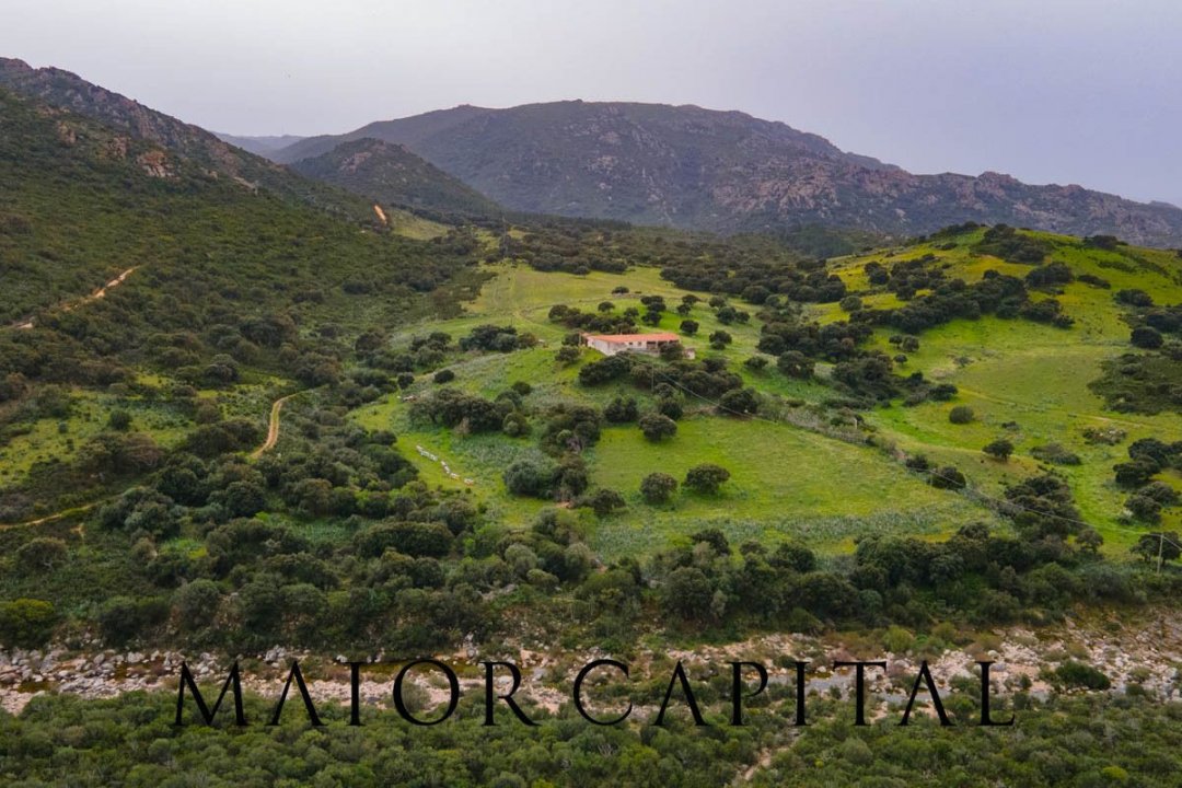 Vendita terreno in zona tranquilla Berchidda Sardegna foto 1
