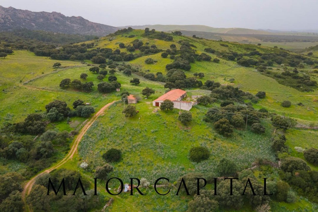 Vendita terreno in zona tranquilla Berchidda Sardegna foto 2