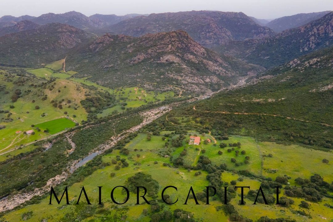 Vendita terreno in zona tranquilla Berchidda Sardegna foto 14