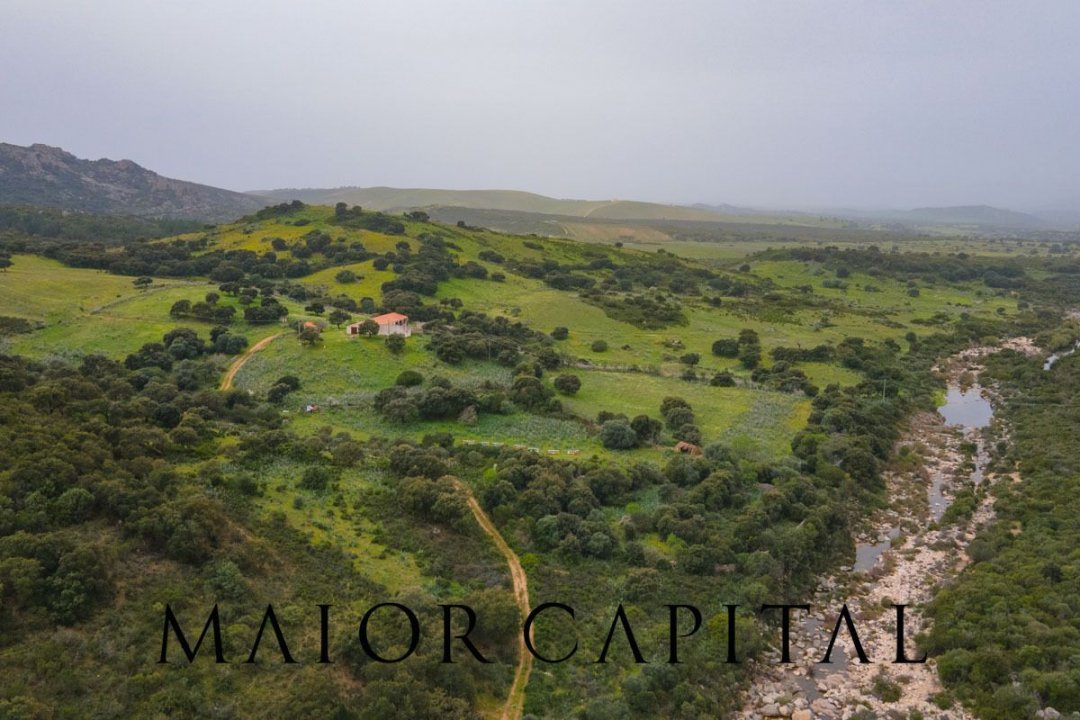 Vendita terreno in zona tranquilla Berchidda Sardegna foto 17