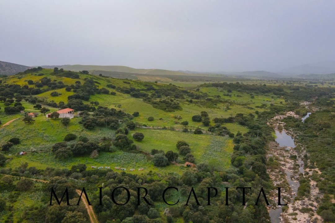 Vendita terreno in zona tranquilla Berchidda Sardegna foto 20