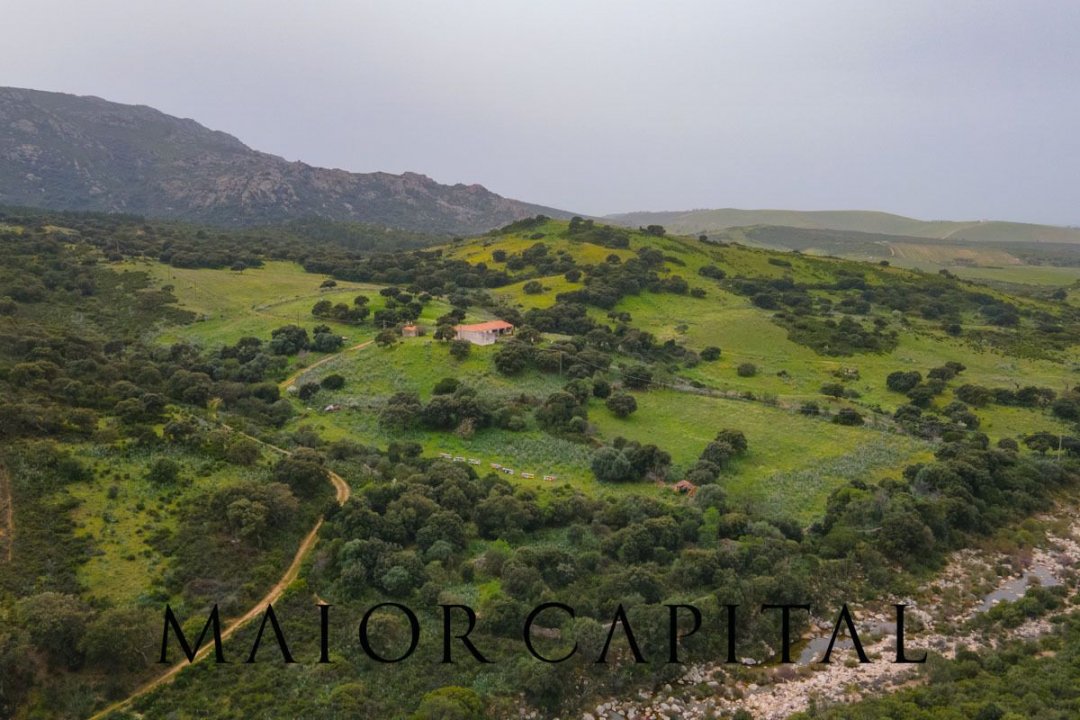 Vendita terreno in zona tranquilla Berchidda Sardegna foto 23