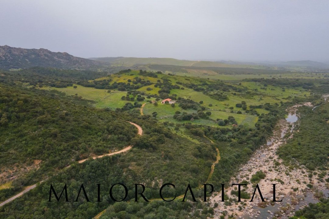 Vendita terreno in zona tranquilla Berchidda Sardegna foto 22