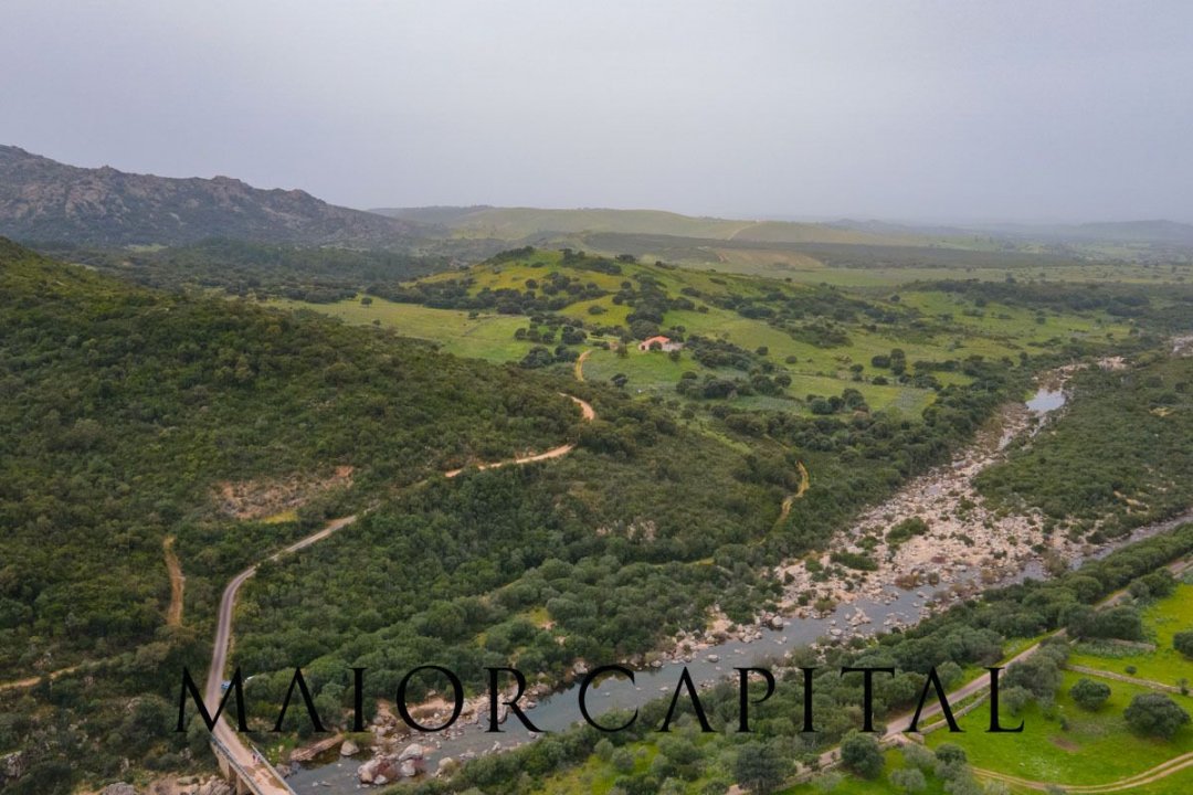 Vendita terreno in zona tranquilla Berchidda Sardegna foto 24