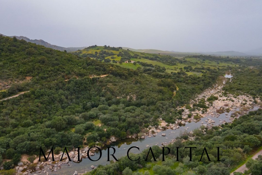 Vendita terreno in zona tranquilla Berchidda Sardegna foto 27