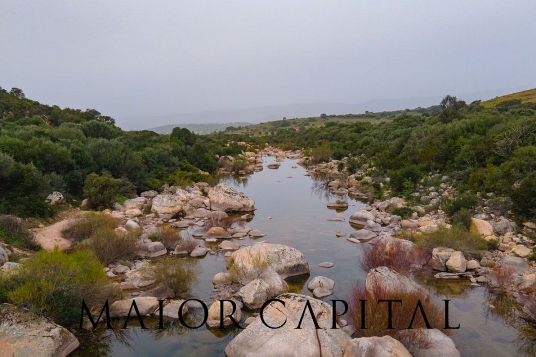 Vendita terreno in zona tranquilla Berchidda Sardegna foto 25