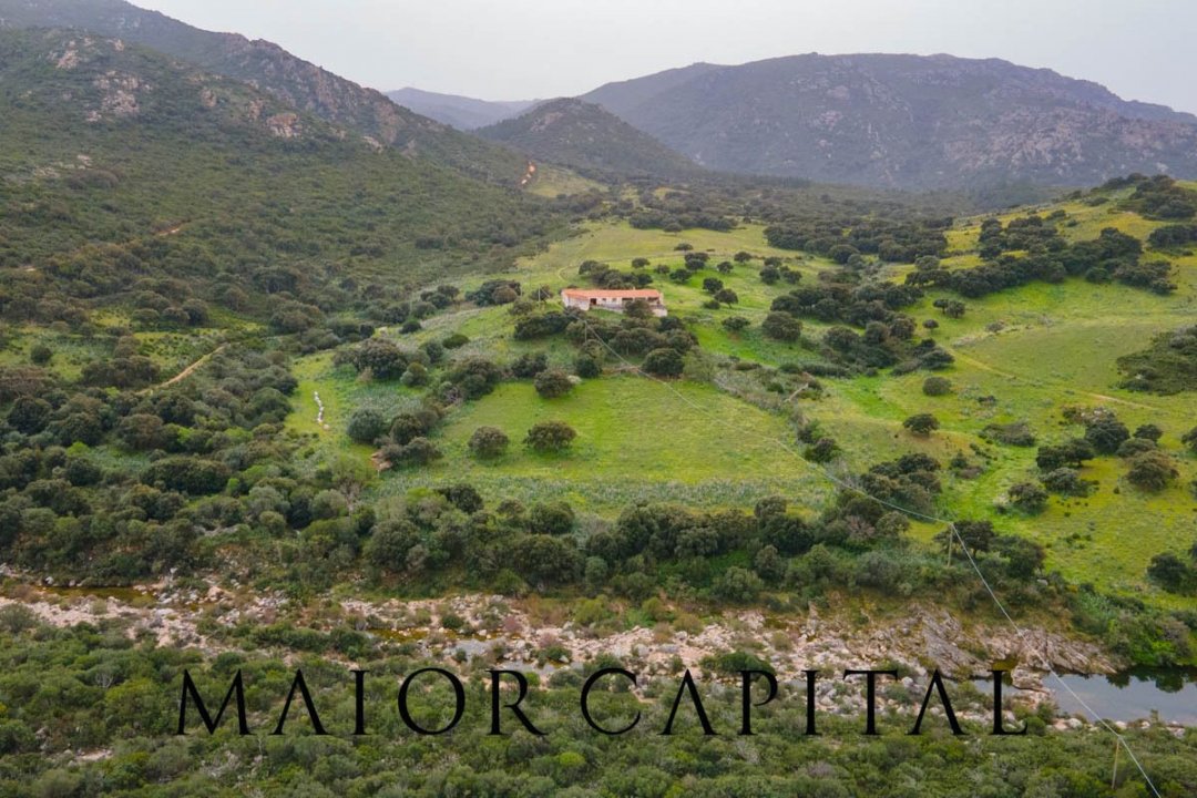 Vendita terreno in zona tranquilla Berchidda Sardegna foto 8
