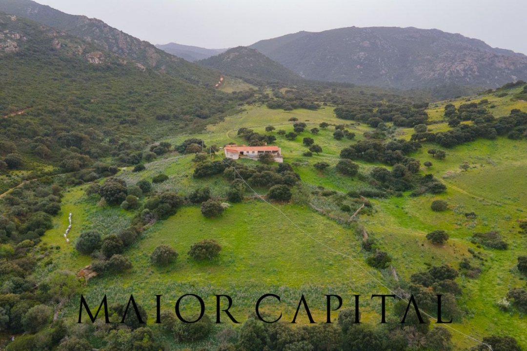 Vendita terreno in zona tranquilla Berchidda Sardegna foto 9