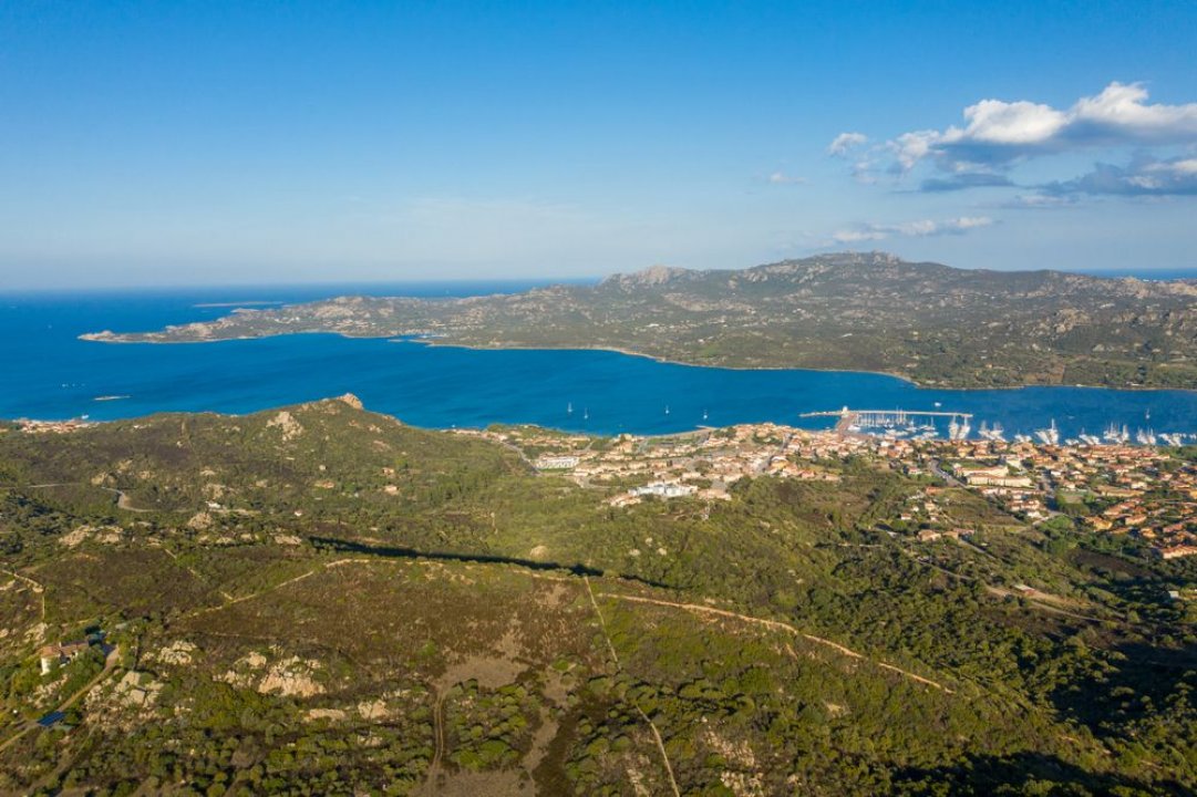 Vendita operazione immobiliare sul mare Arzachena Sardegna foto 1