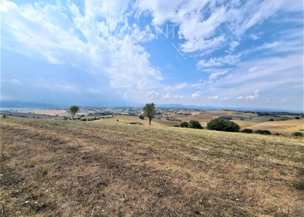 Vendita terreno in zona tranquilla Castiglione del Lago Umbria foto 3
