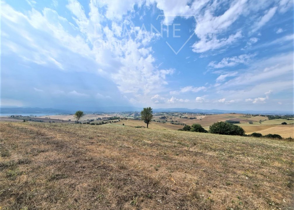 Vendita terreno in zona tranquilla Castiglione del Lago Umbria foto 5