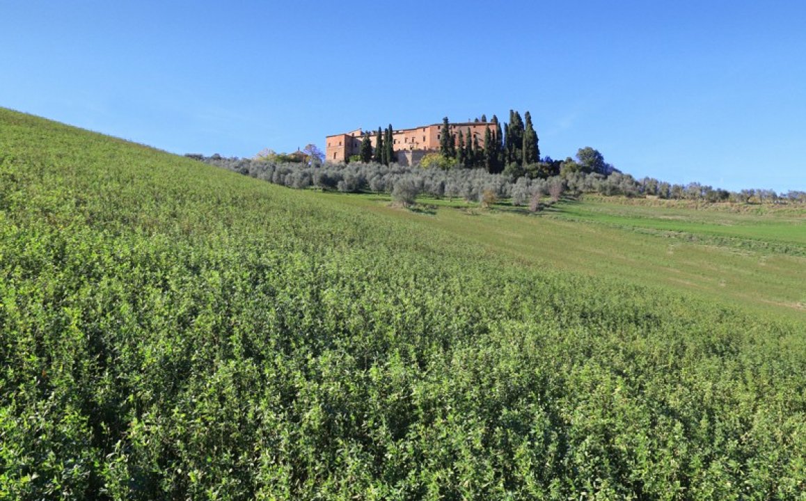 Vendita castello in zona tranquilla Montalcino Toscana foto 20