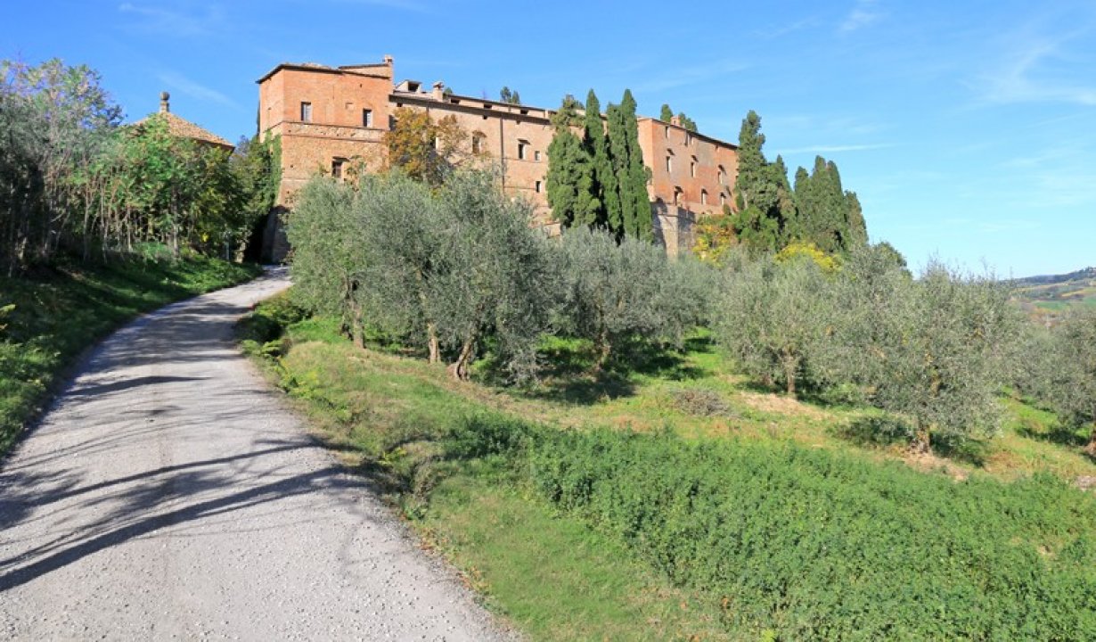 Vendita castello in zona tranquilla Montalcino Toscana foto 19