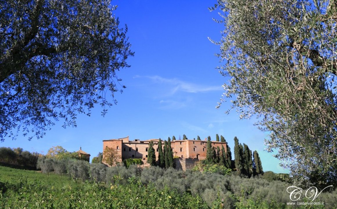 Vendita castello in zona tranquilla Montalcino Toscana foto 18
