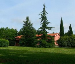 Villa Zona tranquilla Gallese Lazio