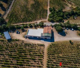 Attività commerciale Zona tranquilla Olbia Sardegna Attività commerciale Zona tranquilla Olbia Sardegna