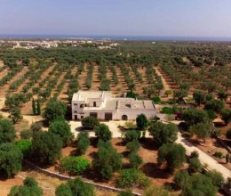 Casale Zona tranquilla Fasano Puglia