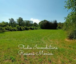 Terreno Zona tranquilla Vergiate Lombardia Terreno Zona tranquilla Vergiate Lombardia