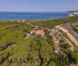 Attività commerciale Mare Oristano Sardegna Attività commerciale Mare Oristano Sardegna