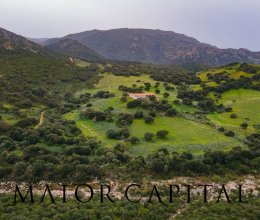 Terreno Zona tranquilla Berchidda Sardegna