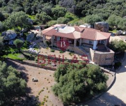 Villa Zona tranquilla Arzachena Sardegna Villa Zona tranquilla Arzachena Sardegna