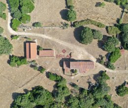 Terreno Zona tranquilla Luogosanto Sardegna Terreno Zona tranquilla Luogosanto Sardegna
