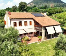 Villa Zona tranquilla Cinto Euganeo Veneto Villa Zona tranquilla Cinto Euganeo Veneto