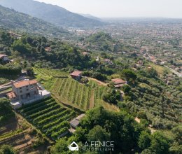 Villa Mare Pietrasanta Toscana Villa Mare Pietrasanta Toscana