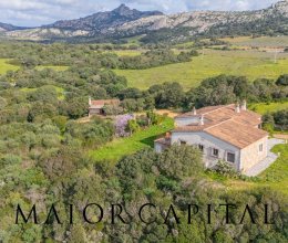 Villa Mare Arzachena  Sardegna Villa Mare Arzachena  Sardegna
