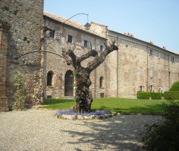 Castello Campagna Montiglio monferrato piemonte Castello Campagna Montiglio monferrato piemonte