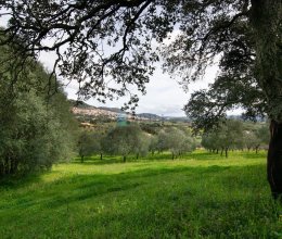 Villa Zona tranquilla Berchidda Sardegna Villa Zona tranquilla Berchidda Sardegna