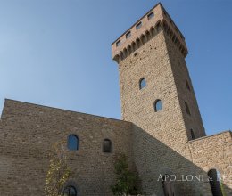 Castello Lago Passignano Sul Trasimeno Umbria Castello Lago Passignano Sul Trasimeno Umbria