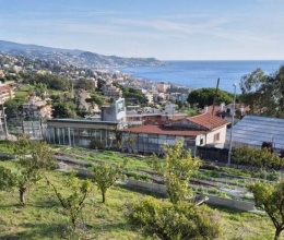 Villa Zona tranquilla Sanremo Liguria Villa Zona tranquilla Sanremo Liguria