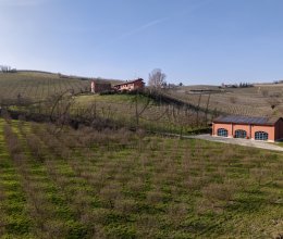 Attività commerciale Campagna Nizza Monferrato Piemonte Attività commerciale Campagna Nizza Monferrato Piemonte