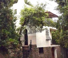 Villa Mare Forio NA Villa Mare Forio NA