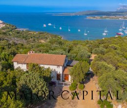 Villa Mare Porto Rotondo Sardegna Villa Mare Porto Rotondo Sardegna