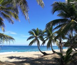 Terreno Mare Cabarete Costa nord Repubblica Dominicana Terreno Mare Cabarete Costa nord Repubblica Dominicana