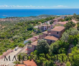 Operazione immobiliare Mare Budoni Sardegna Operazione immobiliare Mare Budoni Sardegna