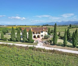 Villa Campagna Pisa Toscana Villa Campagna Pisa Toscana