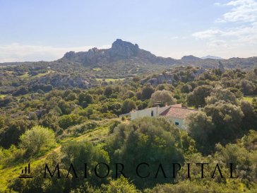 Villa Quiet zone Arzachena Sardegna