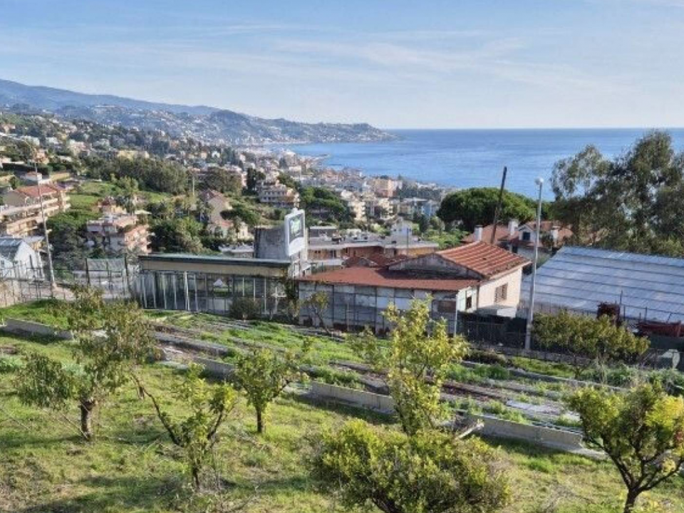 Villa Zona tranquilla Sanremo Liguria Villa Zona tranquilla Sanremo Liguria